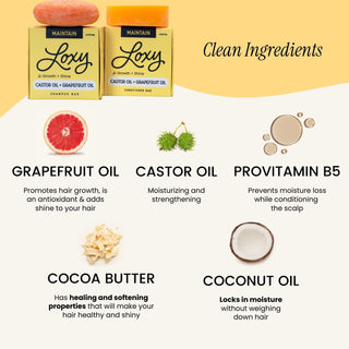 MAINTAIN: Shampoo Bar & Conditioner Bar for growth & shine